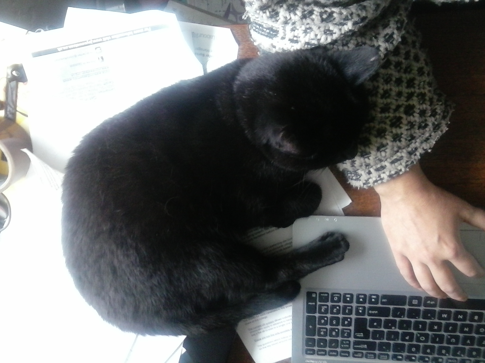 George is helping